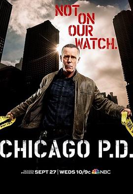 芝加哥警署 第5季