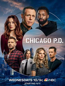 芝加哥警署 第8季