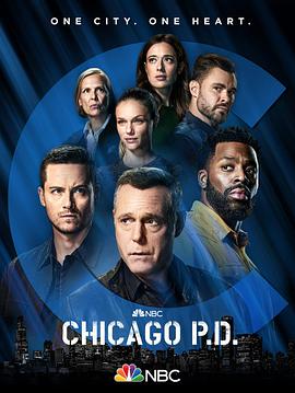 芝加哥警署第9季