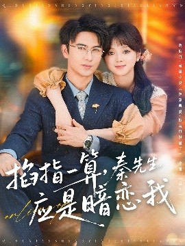 掐指一算，秦先生应是暗恋我高清海报