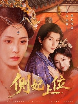 侧妃上位高清海报