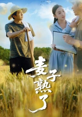 麦子熟了高清海报
