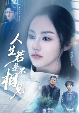 人生若是不相见高清海报