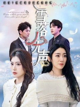 雪落无声高清海报
