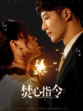 焚心指令高清海报