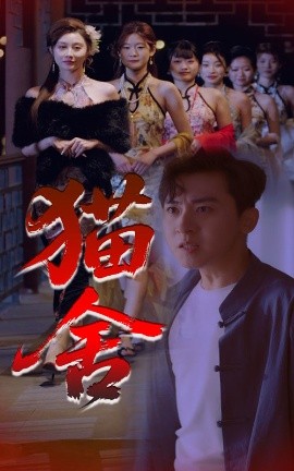猫舍高清海报