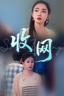 收网高清海报