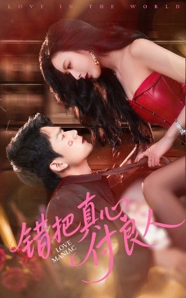 错把真心付良人高清海报