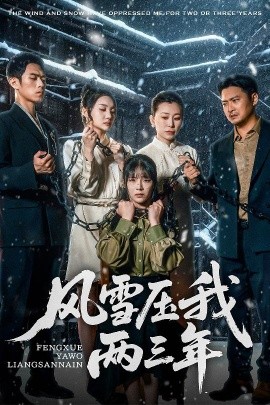 风雪压我两三年高清海报
