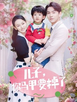 儿子，你马甲要掉了高清海报