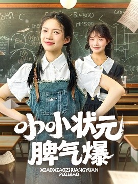 小小状元脾气爆高清海报