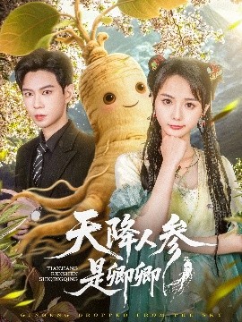 天降人参是卿卿高清海报