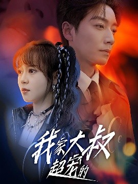 我家大叔超宠的高清海报