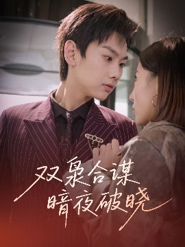 双枭合谋暗夜破晓高清海报
