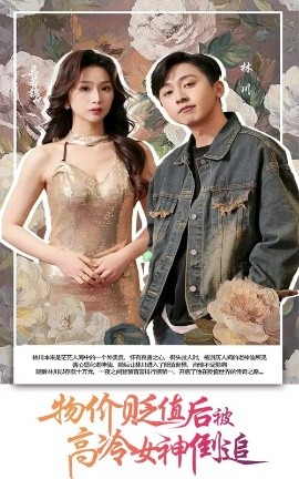 物价贬值后被高冷女神倒追高清海报