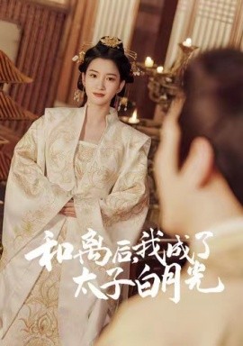 和离后，我成了太子白月光高清海报