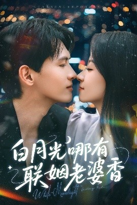 白月光哪有联姻老婆香高清海报
