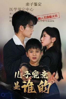 儿子究竟是谁的高清海报
