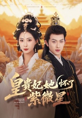 皇贵妃她怀了紫薇星高清海报