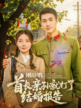刚退婚，首长亲孙就打了结婚报告高清海报