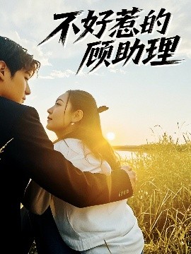 不好惹的顾助理高清海报