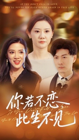 你若不恋此生不见高清海报
