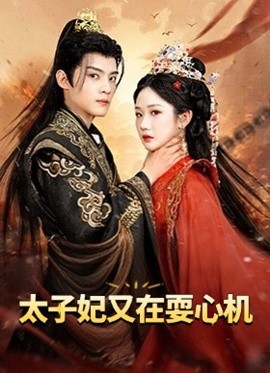 太子妃又在耍心机高清海报
