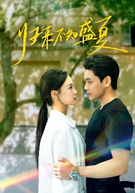 归来不知盛夏高清海报