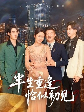 半生重逢恰似初见高清海报