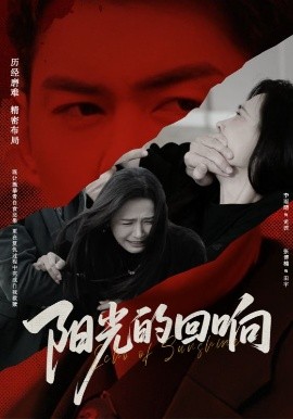阳光的回响高清海报