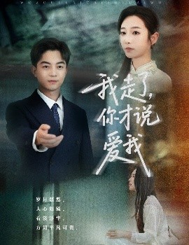 我走了你才说爱我高清海报