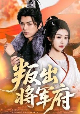 叛出将军府高清海报