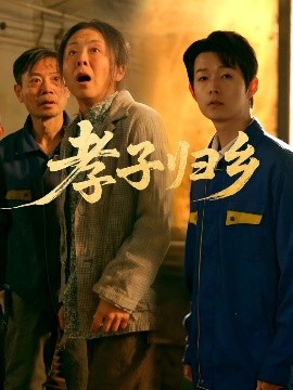 孝子归乡高清海报