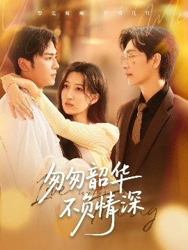 匆匆韶华不负情深高清海报