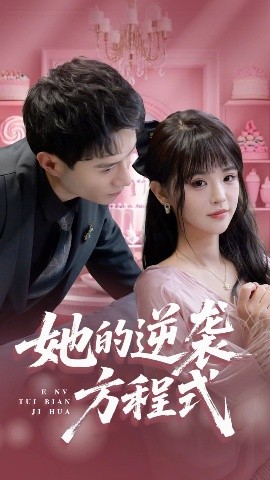 她的逆袭方程式高清海报