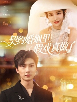 契约婚姻里假戏真做了高清海报