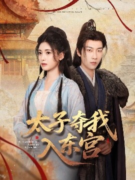太子夺我入东宫高清海报