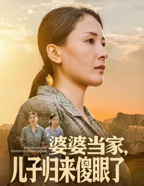 婆婆当家儿子归来傻眼了高清海报