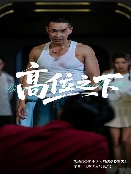 高位之下高清海报