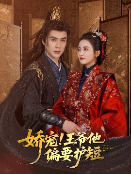 娇宠!王爷他偏要护短高清海报