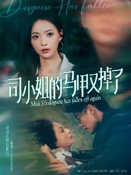司小姐的马甲又掉了高清海报