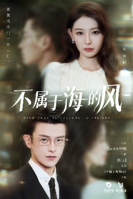 不属于海的风高清海报