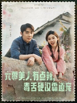 六零美人有点辣毒舌硬汉霸道宠高清海报