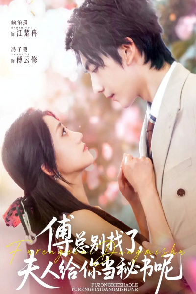 傅总别找了夫人给你当秘书呢高清海报