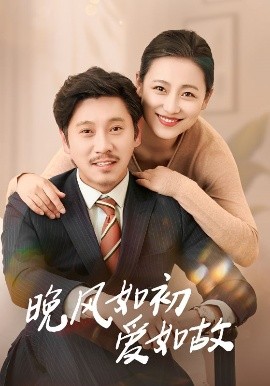 晚风如初爱如故高清海报