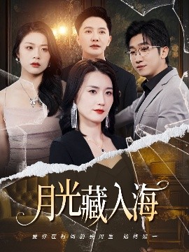 月光藏入海高清海报