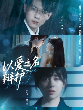 以爱之名辩护高清海报