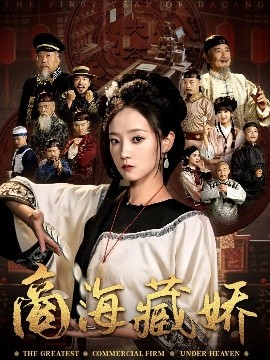商海藏娇高清海报