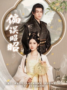 偏误昭昭高清海报