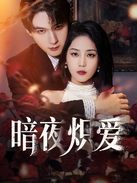 暗夜炽爱高清海报